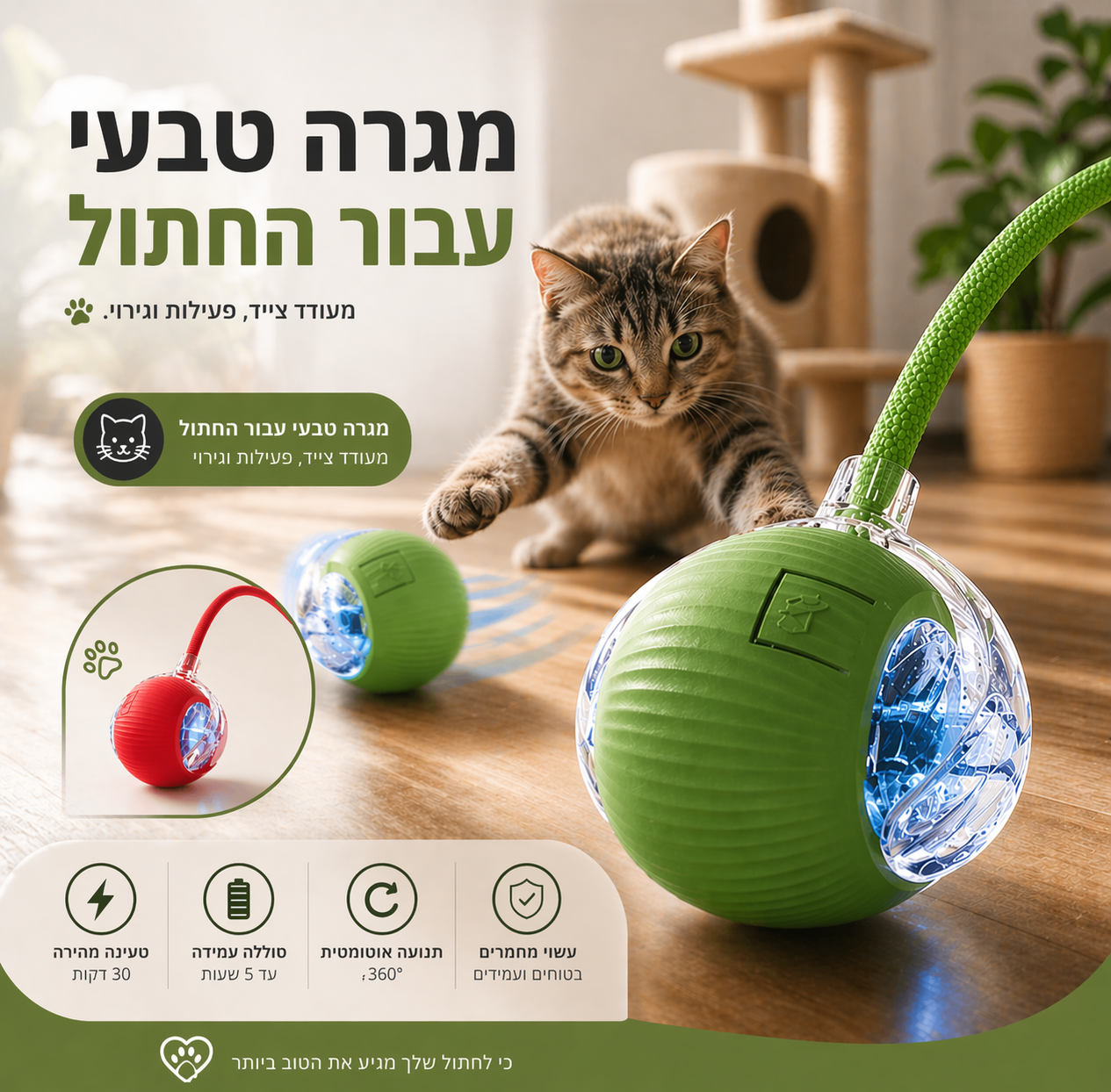 הכדור שזז לבד, משגע את החתול ומשאיר אתכם רגועים